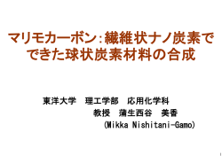 当日配布資料（217KB）