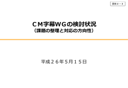 資料2－3 CM字幕WGの検討状況（事務局提出） - 総務省