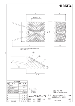 DSY-TR11 ストレーナーキャップ