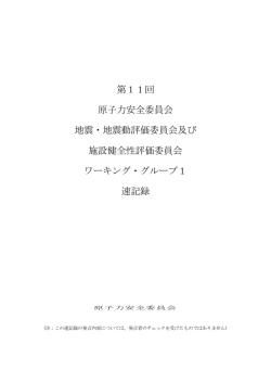 速記録（PDF:363KB） - 原子力規制委員会