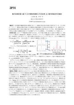 電子状態計算に基づく分子類似性解析とその応用 (2) -電子的記述子の