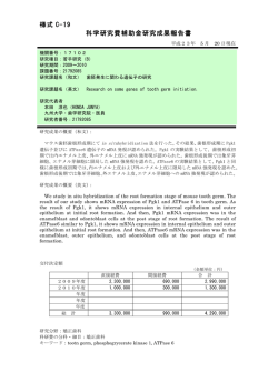 様式 C-19 科学研究費補助金研究成果報告書 - KAKEN - 科学研究費
