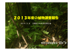 2013年度の植物調査報告
