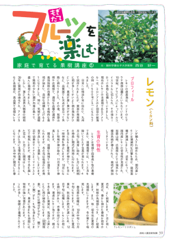 レ モ レ モ ン レ モ レ モ ン
