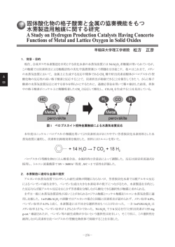 松方 正彦 - 協奏機能触媒