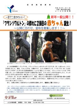 フランソワルトン