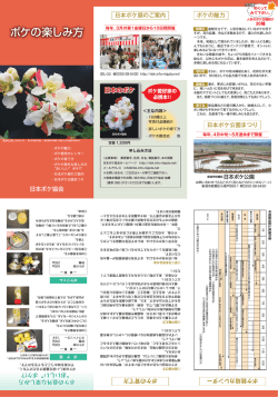 ボケの楽しみ方