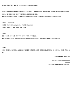 マツノゴマダラノメイガ（モモノゴマダラノメイガ針葉樹型  - 林業試験場