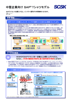 中堅企業向け SAP&reg; Tシャツモデル （406KB）