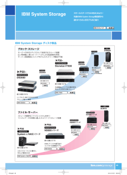 IBM System Storage