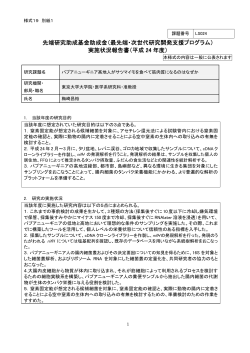 実施状況報告書（平成 24