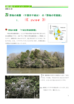 ゴイサギの写真館 (pdf へのリンク)