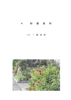 一般会計 - 流山市