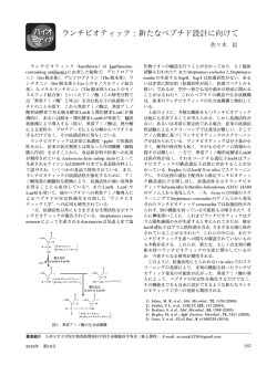 ランチビオティック：新たなペプチド設計に向けて