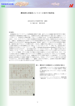 薄切済み未染色コントロール切片の保存法 - ニチレイ