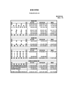貸借対照表 - 誉高等学校