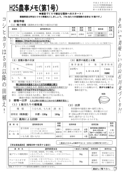 1 箱当たりの播種量