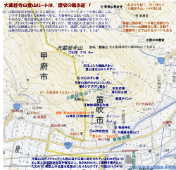 大蔵経寺山登山ルートは、”歴史の眠る道”！