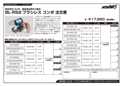 BL-RS2 ブラシレス コンボ 注文書 - Yokomo