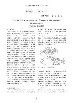 解剖教材としてのカサゴ Anatomical lecture of  - 愛媛大学教育学部