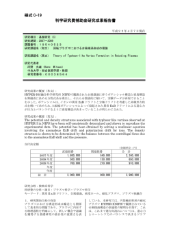 様式 C-19 科学研究費補助金研究成果報告書 - KAKEN - 科学研究費
