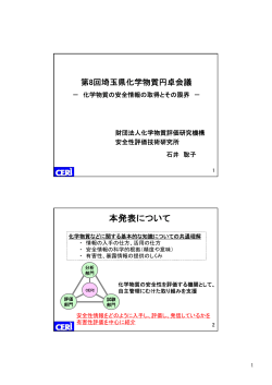 (4)『化学物質の安全情報の取得とその限界』 - 埼玉県