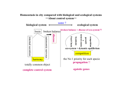 Homeostasis in city compared with biological and ecological