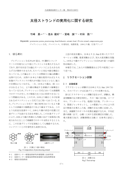 太径ストランドの実用化に関する研究 - 大成建設