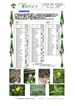 2005年夏号 ：植物観察の記録！ - 四十八瀬川自然村