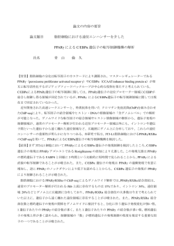 要旨を表示する