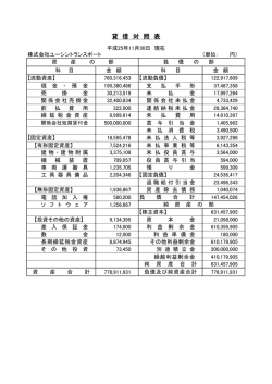 貸 借 対 照 表 - ユーシン