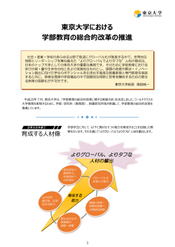 東京大学における学部教育の総合的改革の推進(パンフレット)