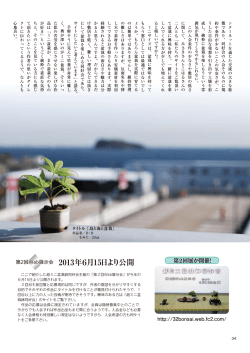 5ページ - 超ミニ盆栽鉢同好会 - FC2