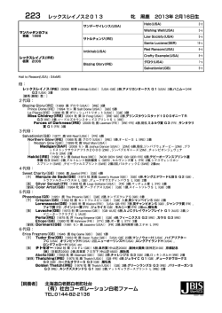 レックスレイノス2013