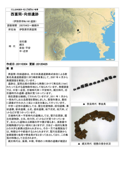西富岡・向畑遺跡