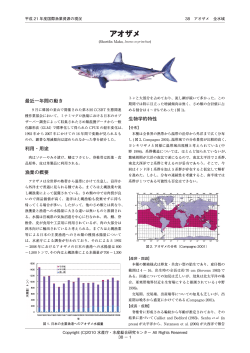 詳細版PDF - 国際漁業資源の現況