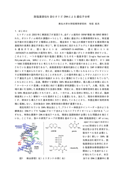 脱塩基部位を含むオリゴ DNA による遺伝子分析