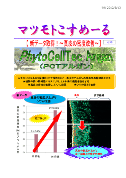 号外①：アルガン幹細胞エキスによる、真皮密度改善効果