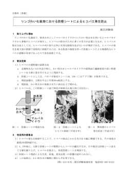 リンゴわい化栽培における防根シートによるヒコバエ発生防止