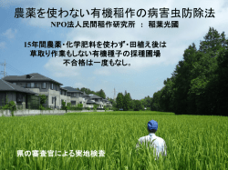 プレゼンテーション資料