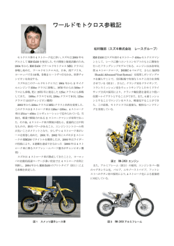 ワールドモトクロス参戦記