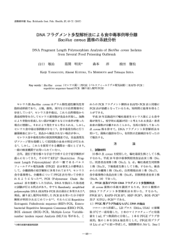 DNAフラグメント多型解析法による食中毒事例等 離 Bacillus cereus