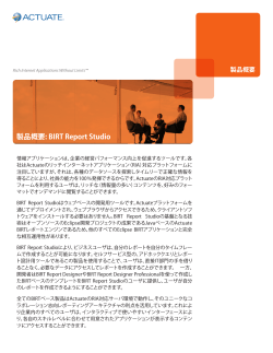 製品概要: BIRT Report Studio - Actuate