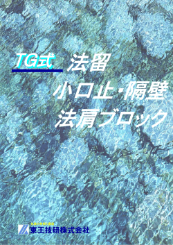 東王技研株式会社 - ODN
