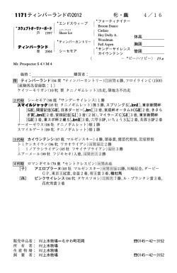 ﾌﾞﾗｯｸﾀｲﾌﾟ