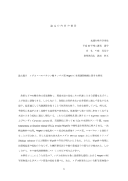 要旨を表示する