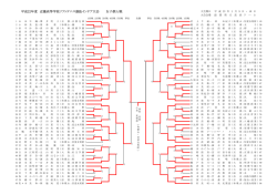 平成22年度 近畿高等学校ソフトテニス選抜インドア大会 女子個人戦