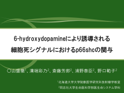 6-hydroxydopamineにより誘導される細胞死シグナル  - 北海道大学