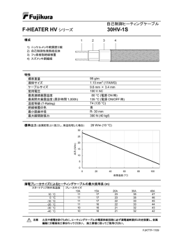 F-HEATER HV シリーズ 30HV-1S