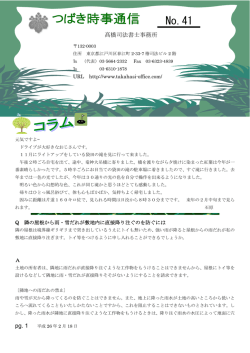椿時事通信No.41 - 髙橋司法書士事務所
